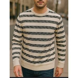 American Eagle Outfitters men’s striped crewneck sweater size large